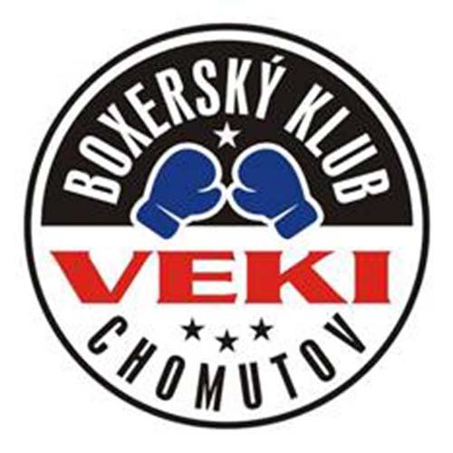 Logo - VEKI BOX
